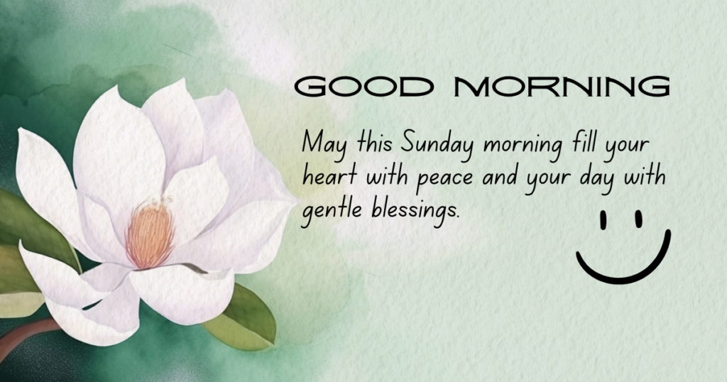 Good morning Sunday message with flowers and soft sunlight