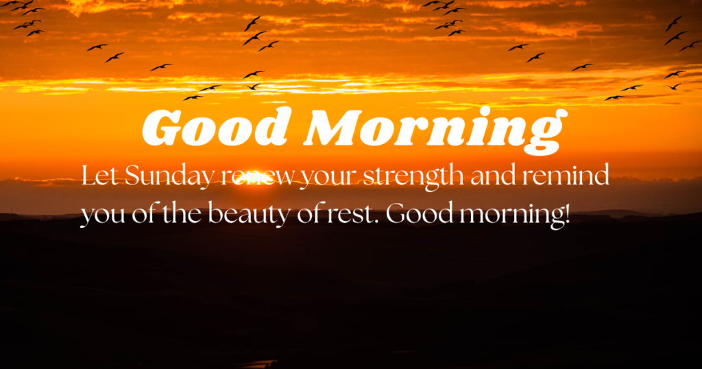 Calm Sunday morning prayer with birds flying at dawn